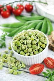 تصویر 4 از کنسرو نخود فرنگی 400 گرمی + قیمت باور نکردنی